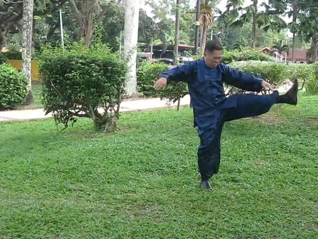 Wu Yu Xiang Style Taijiquan